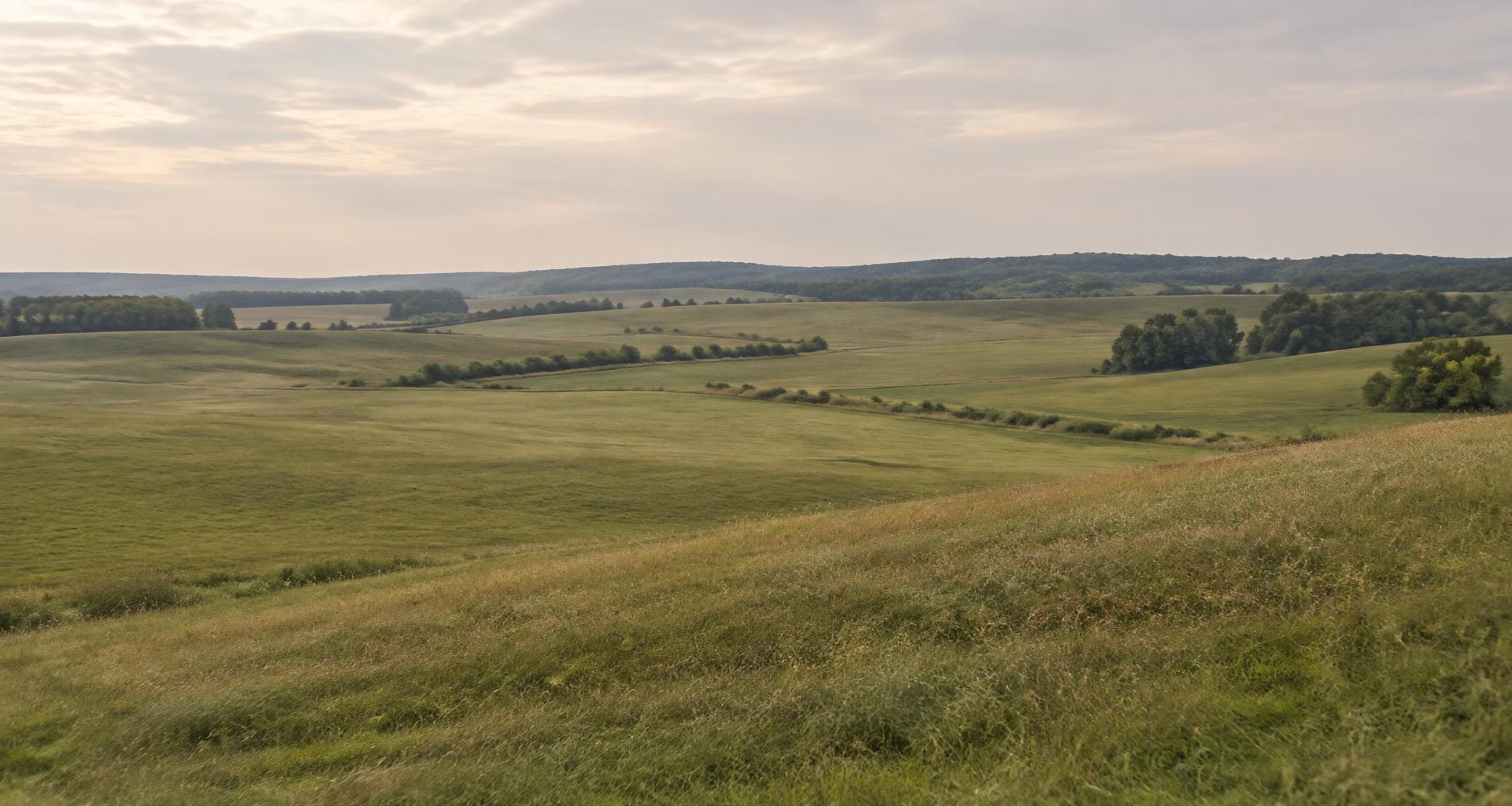 Open rural land with rolling fields and distant tree-lined hills